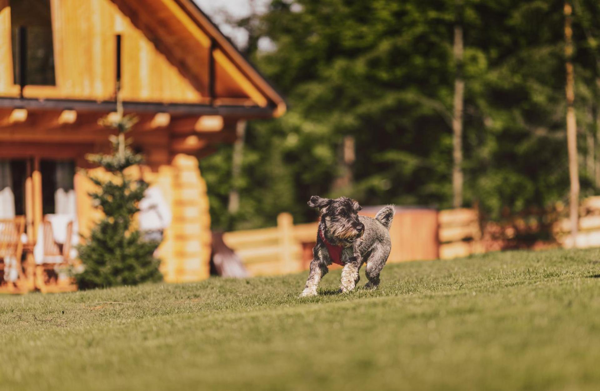 Na Stecowce Chalet Istebna